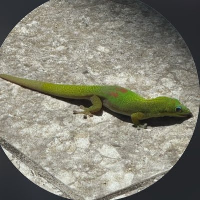 Malachi Barton's profile picture