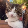 HD_KESKİN profil fotoğrafı