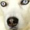 noneya business's profile picture