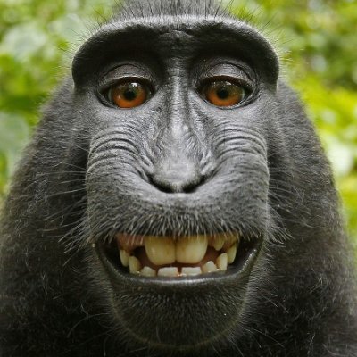Si_Kunyuk's profile picture