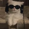 dina profil fotoğrafı