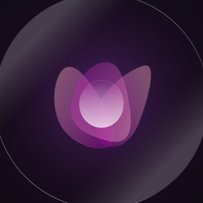 WZRD's profile picture