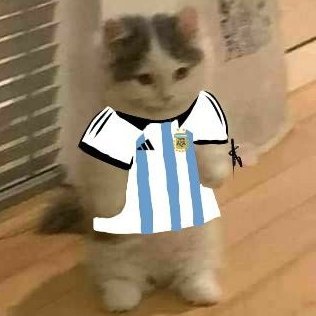 Medianacho EN EL MUNDIAL ⭐️⭐️⭐️'s profile picture