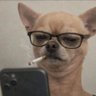 Lyez's profile picture