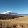 シン profil fotoğrafı
