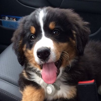 joseph's profile picture