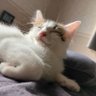 99's profile picture