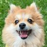 Lerato. profil fotoğrafı
