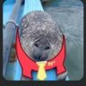 John C. Seal's profile picture