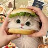 Фото профиля パピコ