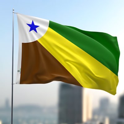 comedor_PBS_PA's profile picture