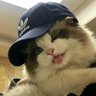 HsuZeph志羽's profile picture