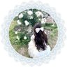 Profilbild von ๐ฌ ๐ฑ ๐ต ๐พ ๐ผ