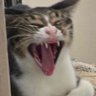 Profilbild von JOJI ERRU(OPEN) slow drawer