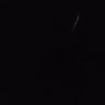 Profilbild von t