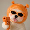 ꒰บ๊อกแบ๊ก꒱· 🐶ᩚ · ◣CHECKLIST◥'s profile picture