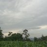kipchumba Ian profil fotoğrafı