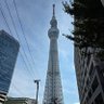 ぢゅんこ profil fotoğrafı