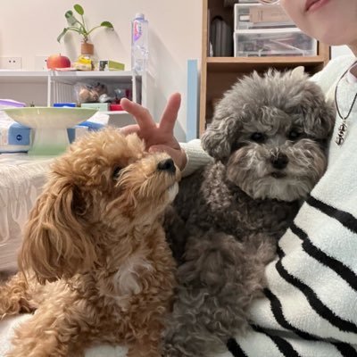 Shuke's profile picture