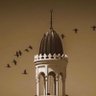Фото профиля Meshal Al Harbi