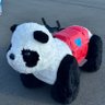 🐼ぽぽ🐼's profile picture