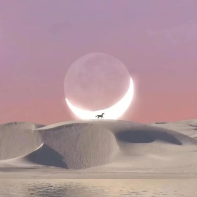 yueyue's profile picture