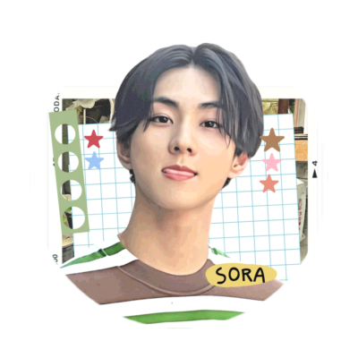 sora's profile picture
