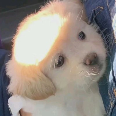 design_by_b04's profile picture