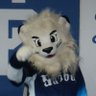 Profilbild von アップルパンチ🦁(ライナオタク)