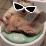 Profilbild von Enotik69