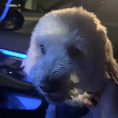 minowskiii's profile picture