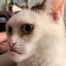Erick's profile picture