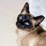 Фото профиля bo