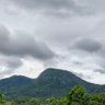 Jagan profil fotoğrafı