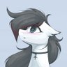 JetBlastPone ✈️🤍 的头像