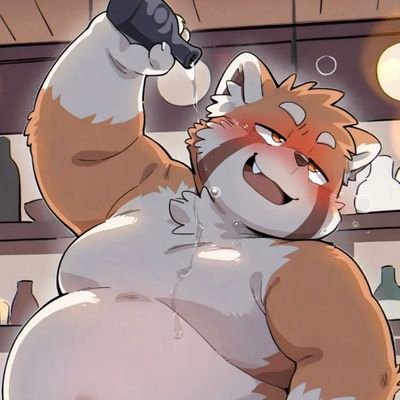 吃不饱的猫's profile picture