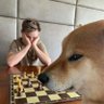 Profilbild von Pendro Doge