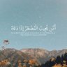 Фото профиля gana ahmed