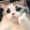たにま's profile picture