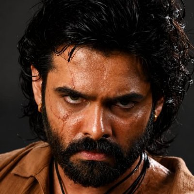 RAm POthineni Fc's profile picture