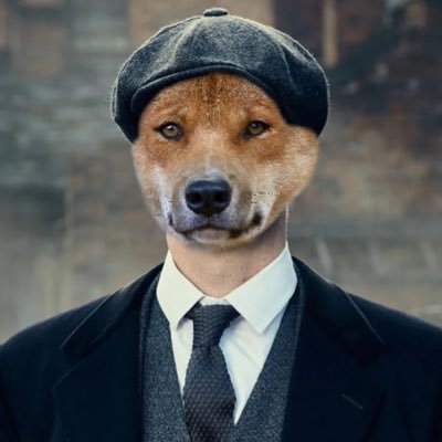 Dingo🇨🇿🇺🇦 𐌀𐌍𐌍𐌄𐌔𐌀𐌓's profile picture