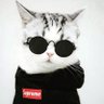 Px's profile picture