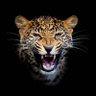 Satya rjn Sahoo's profile picture
