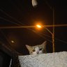 فاطِمة profil fotoğrafı