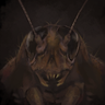 Maxiom's profile picture