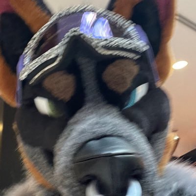 ⛓️ 𝖍𝖆𝖑𝖋𝖆𝖍𝖔𝖚𝖓𝖉 ⛓️ ➡️ FANG's profile picture