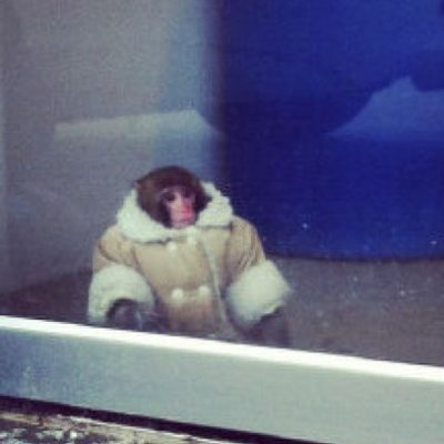 Charlie Ganley Harambe Kirk Orelha Jr's profile picture