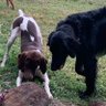 S_murphy profil fotoğrafı