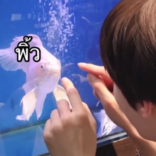 April (slow)'s profile picture