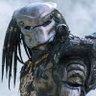 Predator's profile picture
